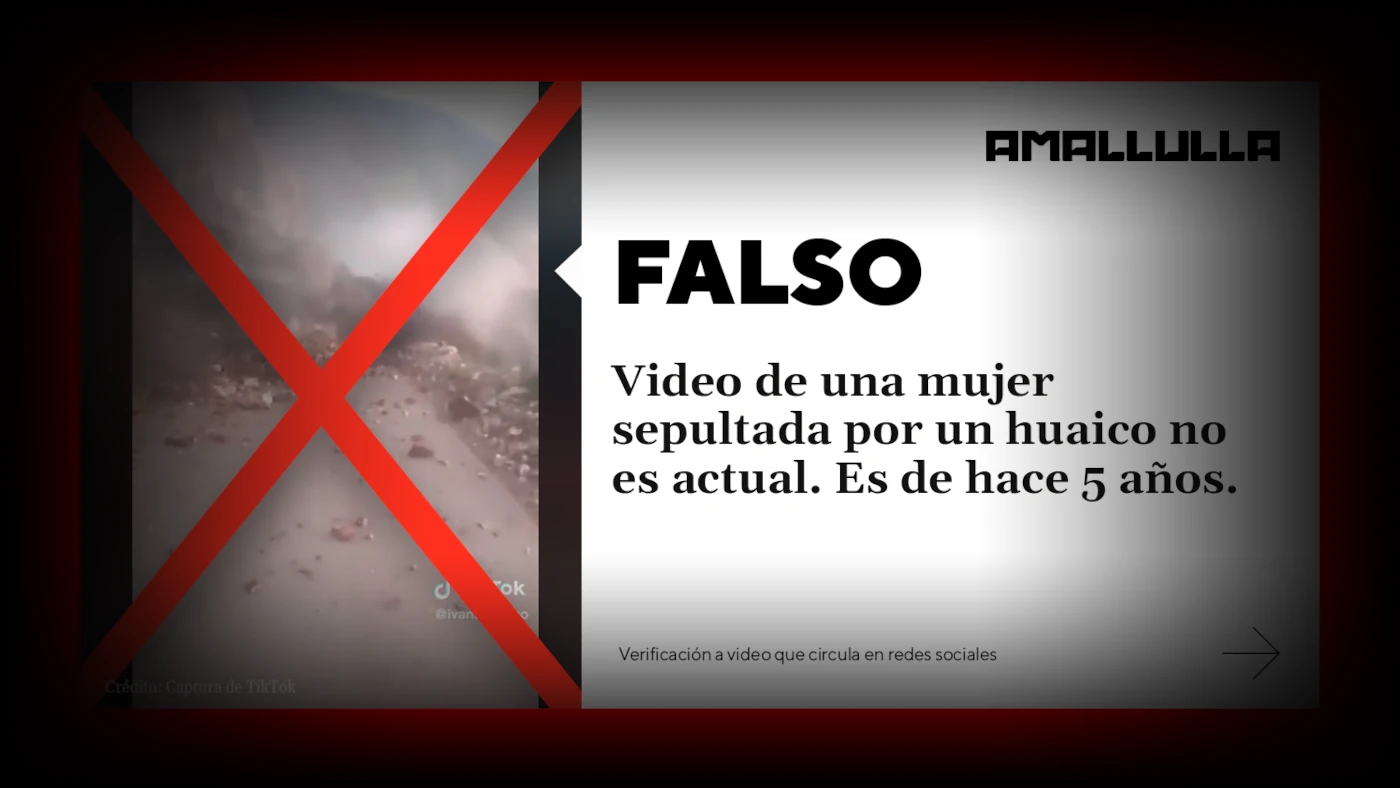 Otro video falso en TikTok – IDL
